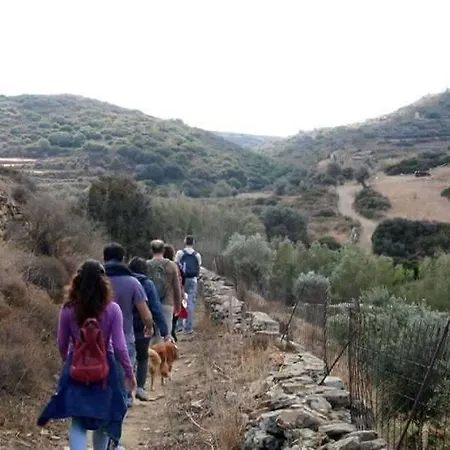 Adonis Naxos Apollon (Naxos)