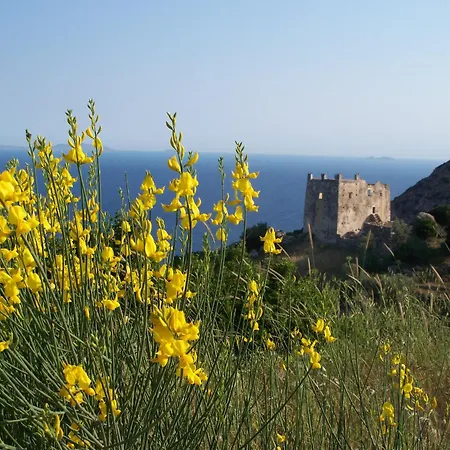 Adonis Naxos