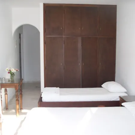 Adonis Naxos ホテル Apollon