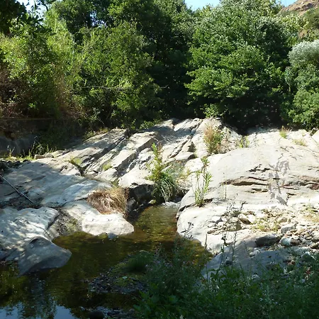 Adonis Naxos ホテル Apollon