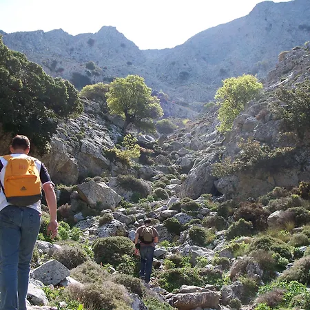 Adonis Naxos ホテル 2*