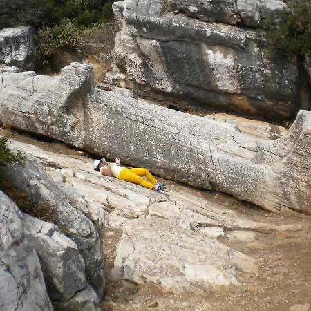 Adonis Naxos ホテル