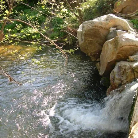 Hotel Adonis Naxos 2*