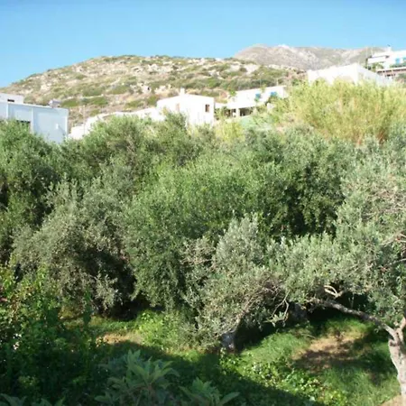 Hotel Adonis Naxos