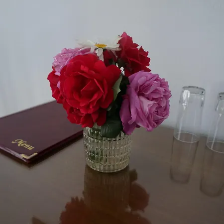 Hotel Adonis Naxos Apollon (Naxos)