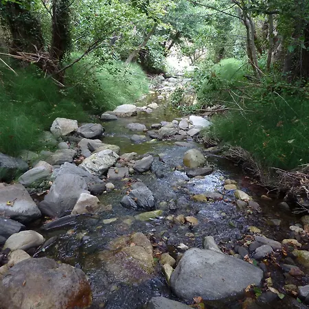 Hotel Adonis Naxos Apollon (Naxos)