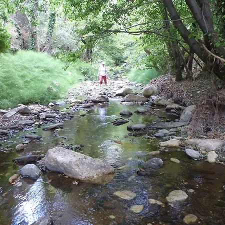 Adonis Naxos Apollon (Naxos)