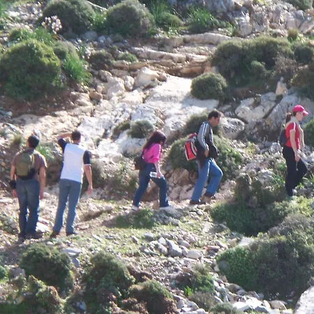 Adonis Naxos Hotel 2*