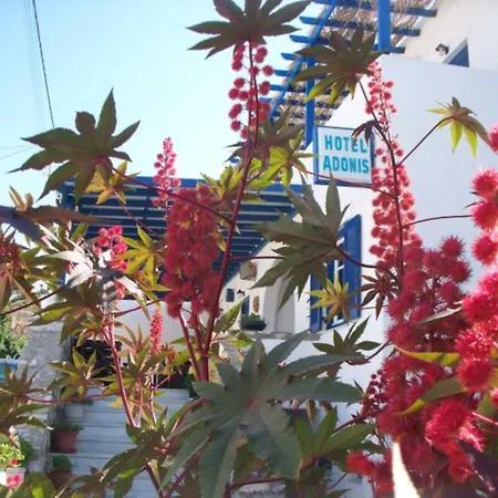 Adonis Naxos Hotel 2*