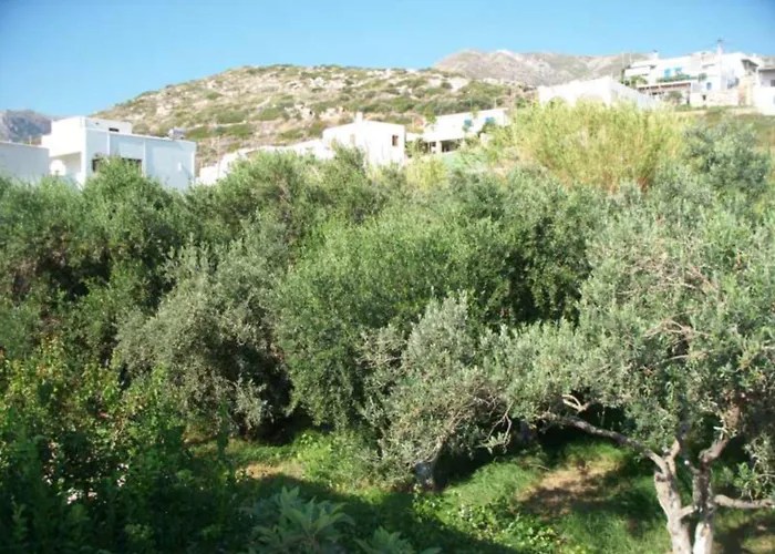 Hotel Adonis Naxos