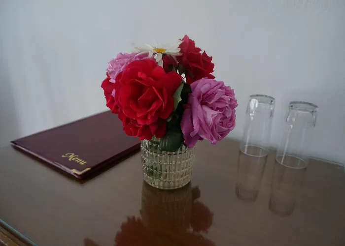 Hotel Adonis Naxos Apollon (Naxos)