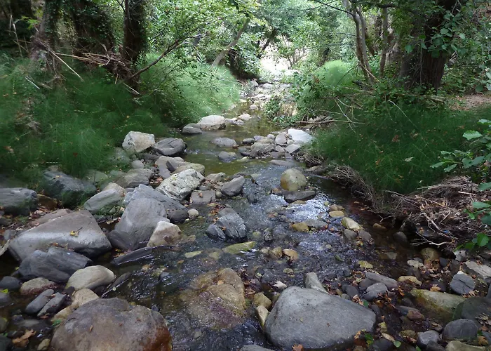 Hotel Adonis Naxos Apollon (Naxos)