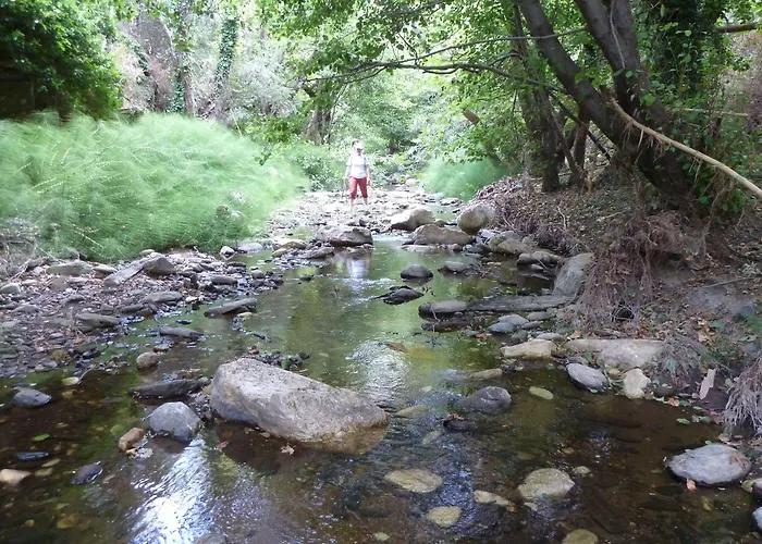 Adonis Naxos Apollon (Naxos)