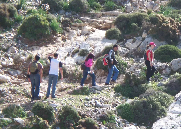 Adonis Naxos Hotel 2*