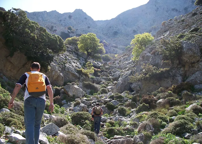 Adonis Naxos Hotel 2*
