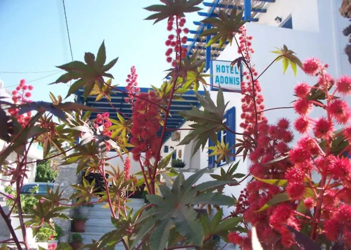 Adonis Naxos Hotel 2*